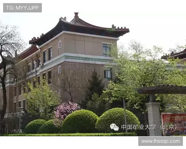 北京篮球队的奋斗历程与荣耀时刻全景纪实