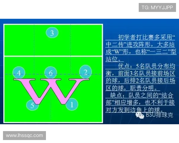 成都排球队战术表现深度分析与数据解读探讨