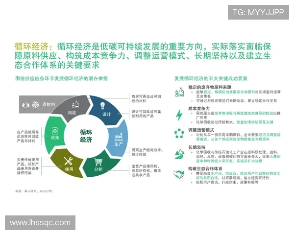 杭州乒乓球队转型之路的挑战与机遇深度剖析与展望