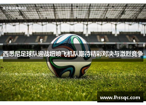 西悉尼足球队迎战纽喷飞机队期待精彩对决与激烈竞争
